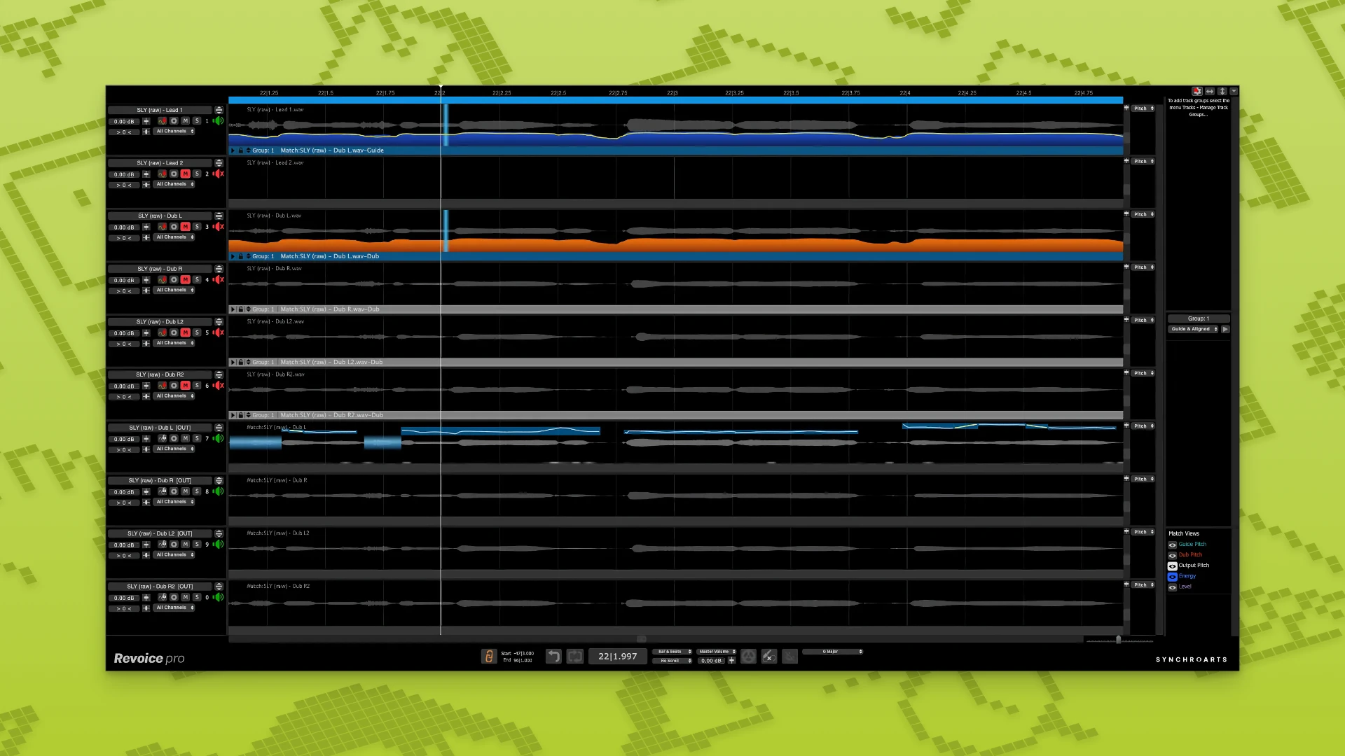 Synchro Arts Revoice Pro 5 screenshot 1
